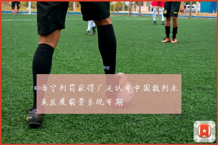 马宁判罚获得广泛认可中国裁判未来发展前景乐观可期